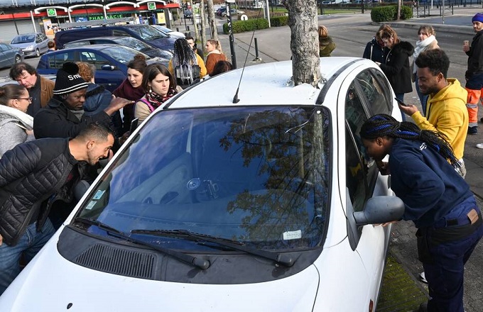 France : Un arbre au milieu d’une voiture fait sensation à Nantes 