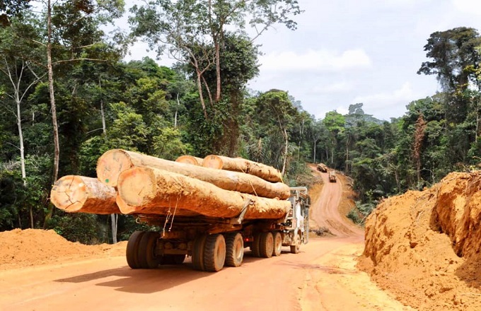 Arrestation de sept exploitants forestiers gabonais par des militaires congolais à Mabanda 