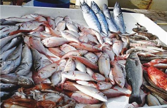 Consommation : les prix du poisson en forte augmentation à Pointe-Noire