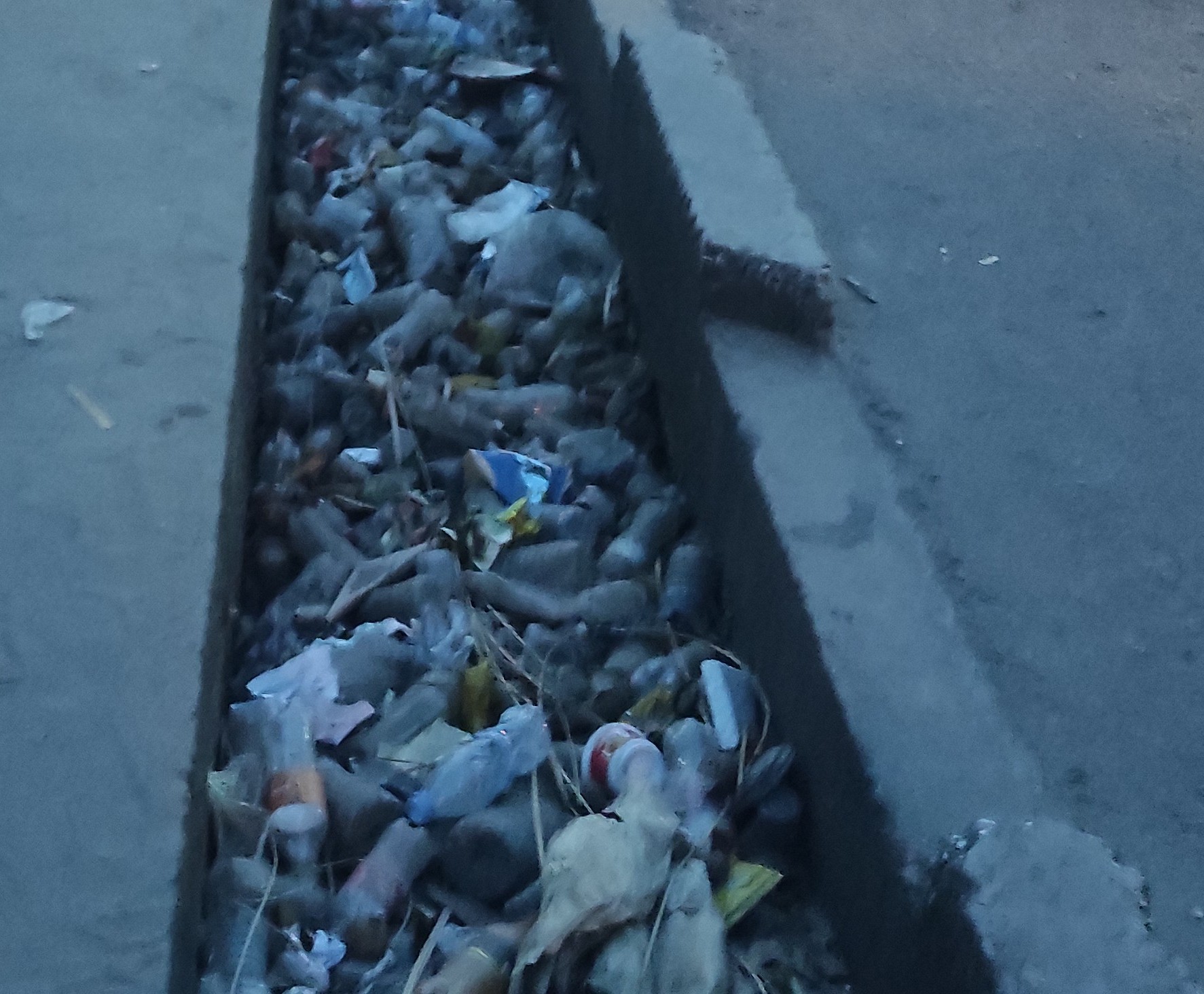 Oyo mérite mieux : quand l’incivisme défie la beauté de l’avenue du Marché central
